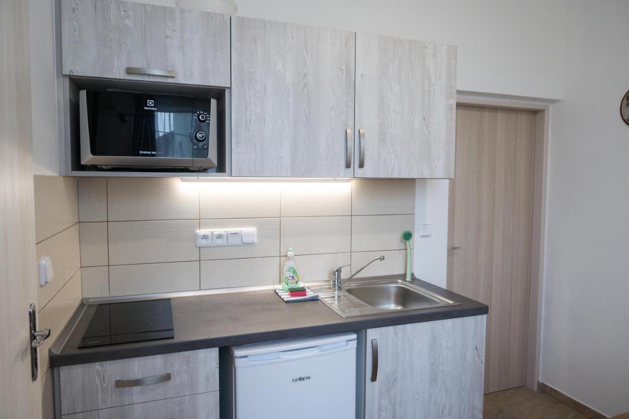 Stara Brusirna Apartment Satov