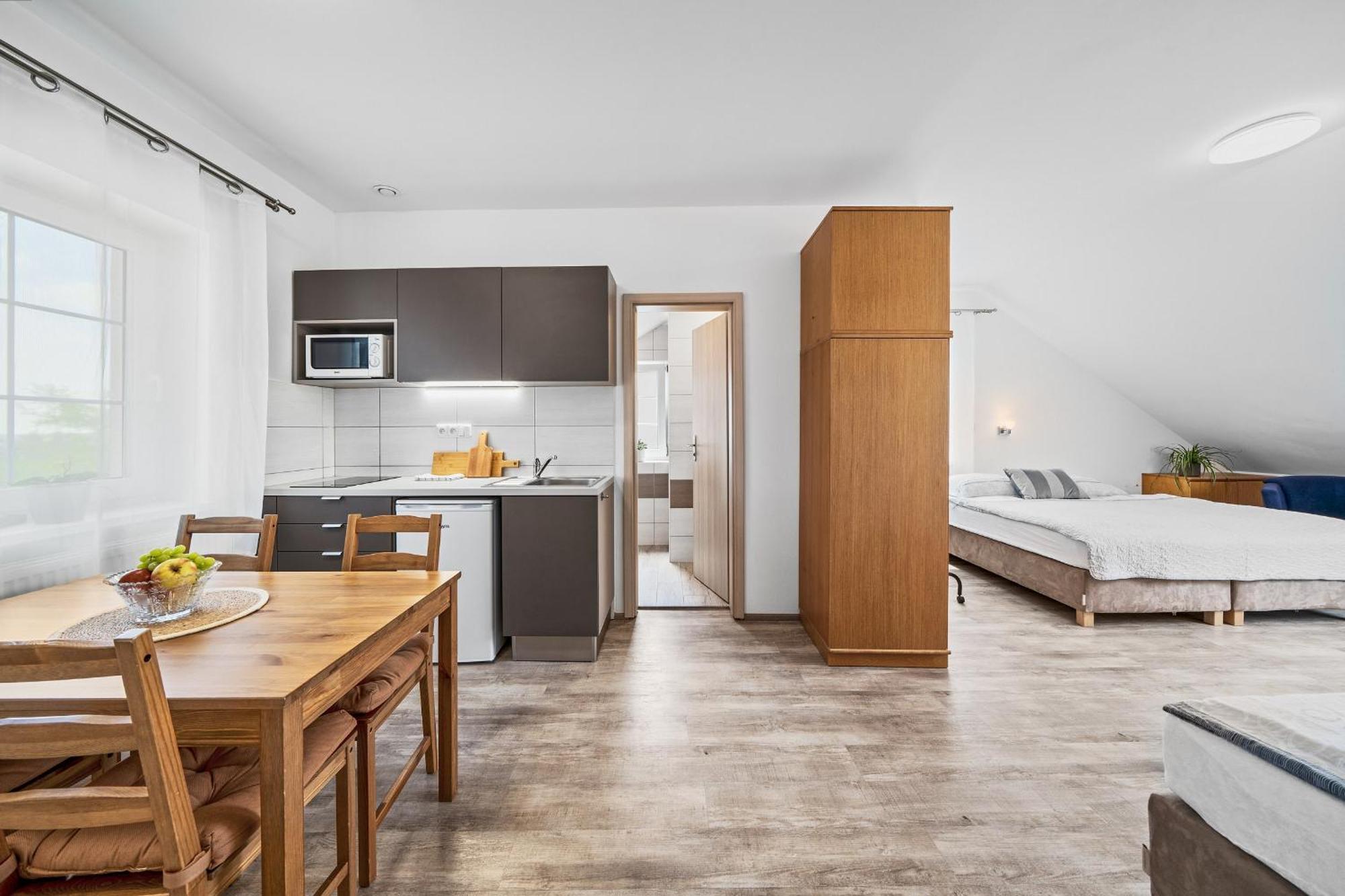 Stara Brusirna Apartment *